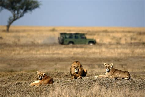 Important Role Conservancies Play in Africa’s Wildlife Conservation ...