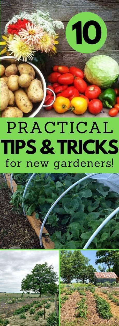 10 Practical Gardening Tips and Tricks to Help Your Garden Thrive ...