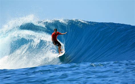 Surfing waves wallpaper | 2560x1600 | #34917