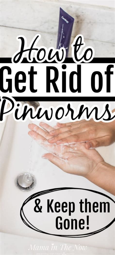 How to Treat Pinworms (Almost) Naturally - For Good | How to get rid of ...