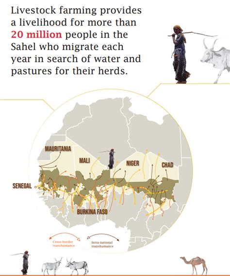 Where Climate Change Is Reality: Supporting Africa’s Sahel Pastoralists ...