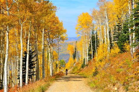 Colorado Fall Colors 2020: When & Where to See the Leaves Change