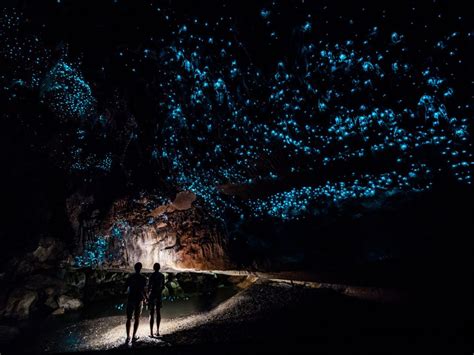 10 Dazzling Glowworm Cave Images - Fontica Blog