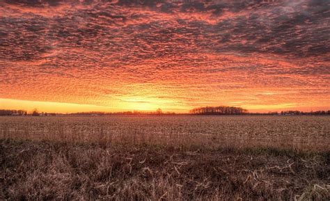 Sunset in the farm field | Sunset, Farm field, Landscape photos