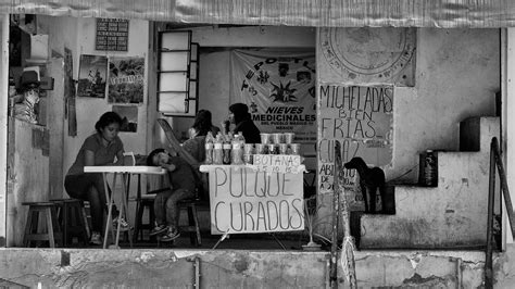 A Pulque Revolution Brews in Mexico City - PUNCH