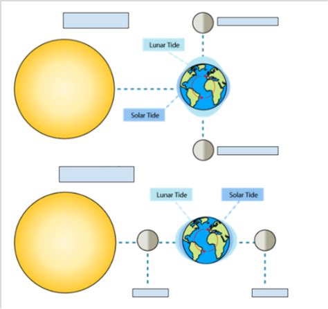 Neap/Spring Tide Diagram Diagram | Quizlet