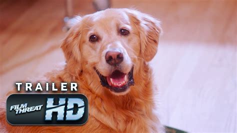 THE DOG DOC | Official HD Trailer (2020) | DOCUMENTARY | Film Threat ...