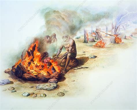 Tribe of Homo erectus cooking with fire - Stock Image - E438/0065 ...