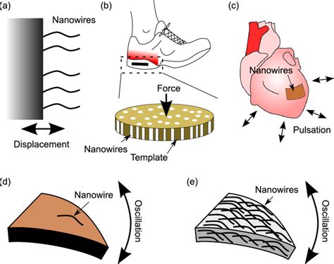 Examples of piezoelectric nanowires incorporated into nanogenerators ...