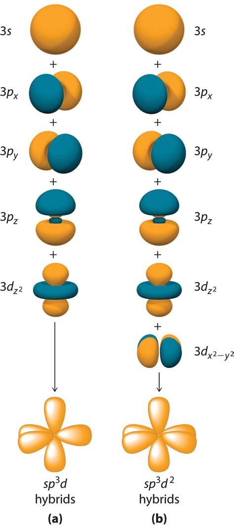 Molecular Orbital Diagrams