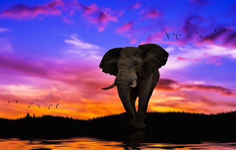 Art Elephant Wallpapers - Top Free Art Elephant Backgrounds ...