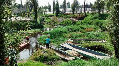 CHINAMPAS (Floating gardens): A Mexican Tradition With Global Impact