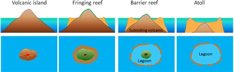 4.10 Coral Reefs – Introduction to Oceanography