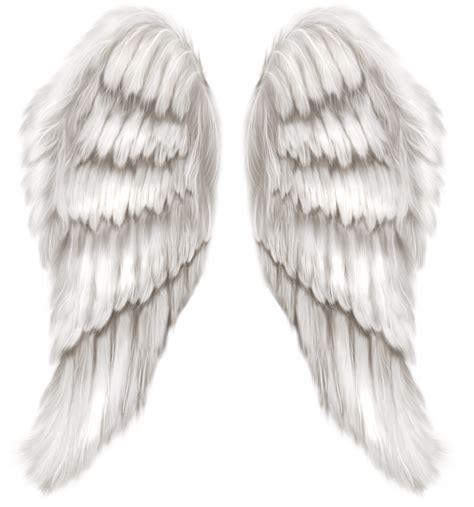 White Angel Wings Transparent PNG Clip Art Image | Gallery Yopriceville ...