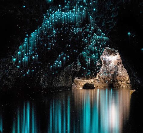 5-five-5: Waitomo Glowworm Caves (New Zealand)