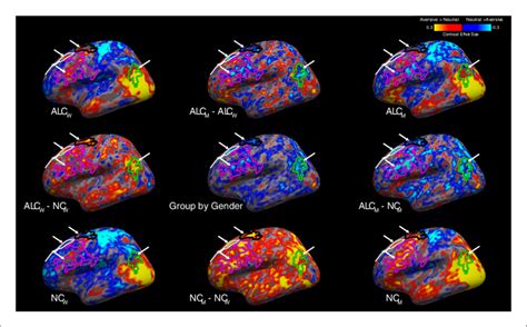 Aversive vs. neutral stimuli elicited more abnormally negative ...