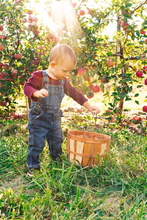 Apple Orchard Photoshoot - Victoria Christine Photography