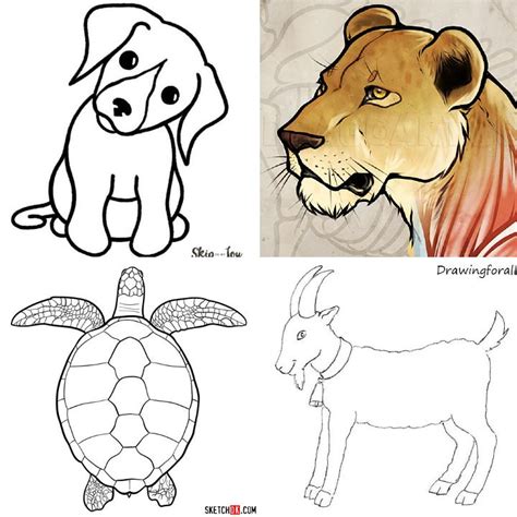 Simple Drawings Of Animals