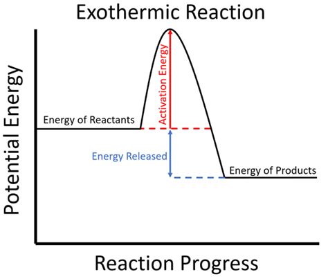 Labelled Diagram Of Exothermic Reaction