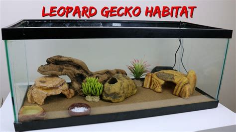 Decor Terrarium Gecko Leopard | KABAR TEPAT