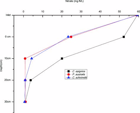 Nitrate concentrations at different soil depths in the soil columns ...