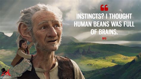 The BFG Quotes - MagicalQuote