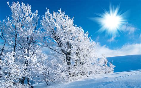 Winter Scenes Wallpaper (55+ images)