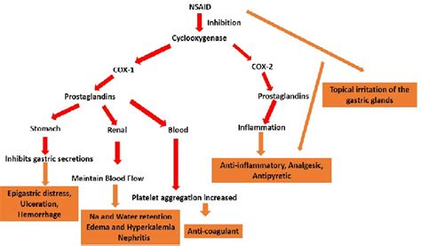 Mechanism of action of diclofenac (https://www.... | Download ...