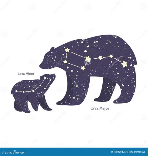 Ursa Major Bear