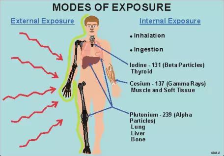 Radiation and Cancer