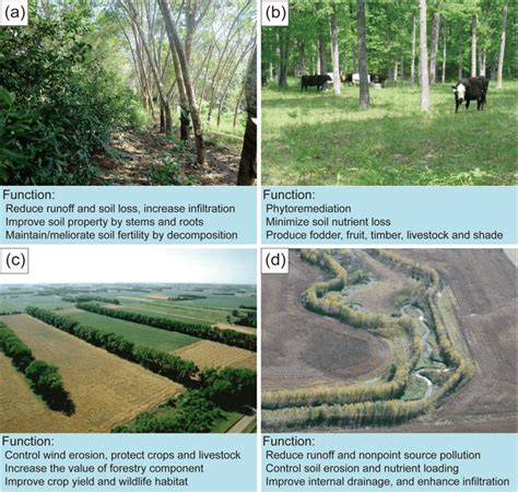 Four common agroforestry practices and their major functions. (a) Mixed ...