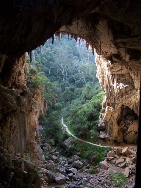 Hiking to Jenolan Caves, Australia. | Blue mountains australia, Jenolan ...