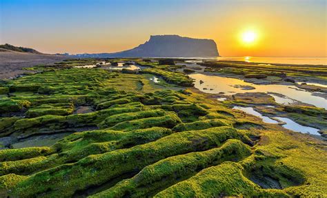 The 10 Best Jeju Island South Korea Cruise Excursions & Shore Trips