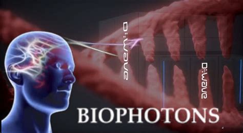 DNA Frequency Bioweapon | Biophotons - One News Page VIDEO