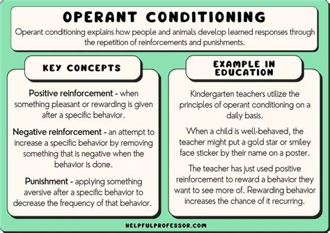 13 Operant Conditioning Examples (2024)