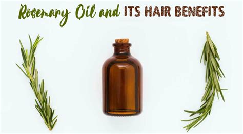 Rosemary Oil and its Hair Benefits | Oil and Benefits