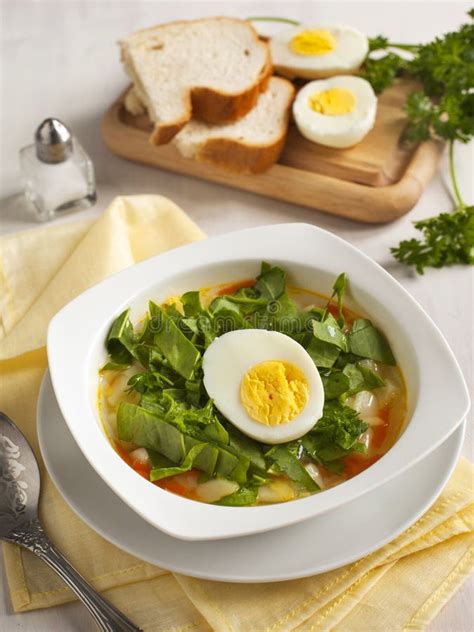 Sorrel soup stock photo. Image of served, bowl, homemade - 42377984