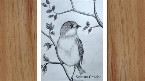 How to draw a Bird Scenery with pencil step by step, Pencil Drawing for ...