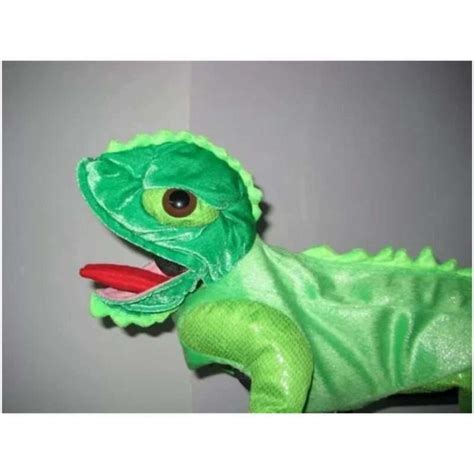 Iguana Costume - Paws Place