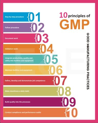 Everything you need to know about GMP (Good Manufacturing Practice ...