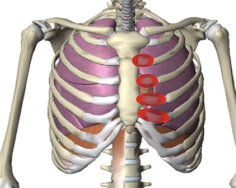 Invalid Blueprint Go up and down best pain relief for pulled chest ...