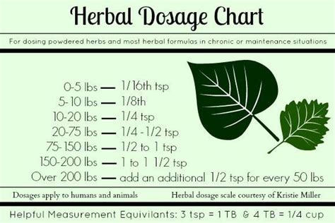 Herbal Tincture Dosage Chart