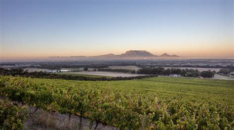 De Grendel Wine Estate: come for the stunning views and stay for the ...