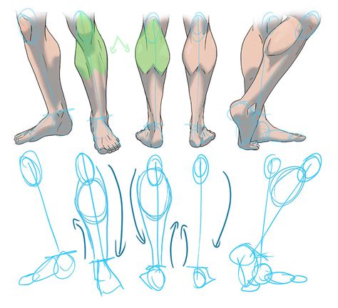 Legs Drawing Reference Sheet