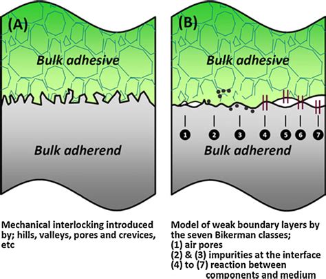 Schematic view of the representative adhesive bonding interface; (A ...