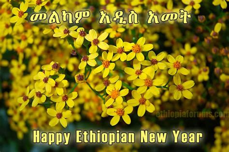 Ethiopians Celebrating 2013 New Year - ENA English - ENA