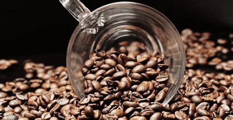 Are Cold Brew Coffee Beans Roasted? All You Need To Know!