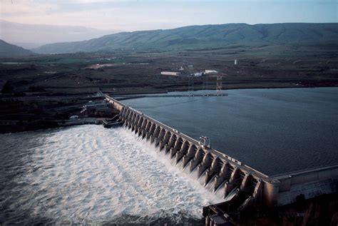 DAM001-00006 - Joel Sartore