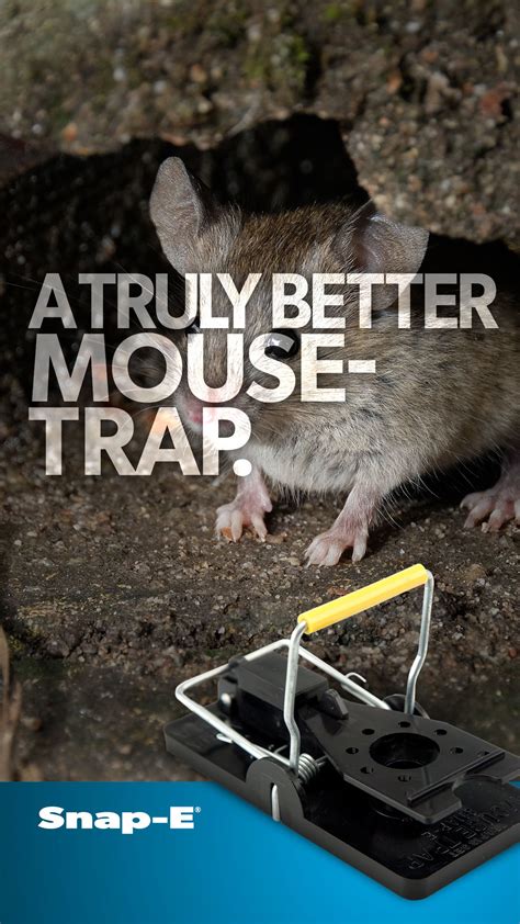 Snap-E® Mousetrap | Snaps, Best mouse trap, Innovation design