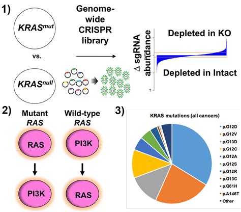 Targeting KRAS in pancreatic cancer